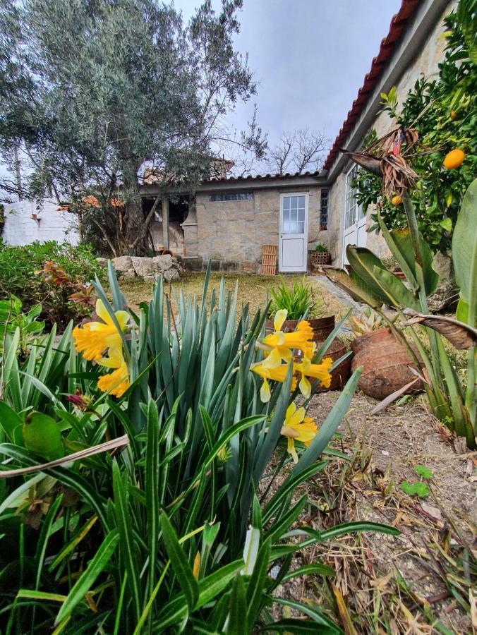 Villa Casa Da Poca Baião Exterior foto